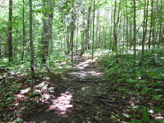 The Carriage Road Trail