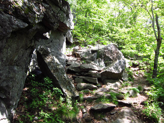 The Tableland Trail on the way to Mt. Megunticook