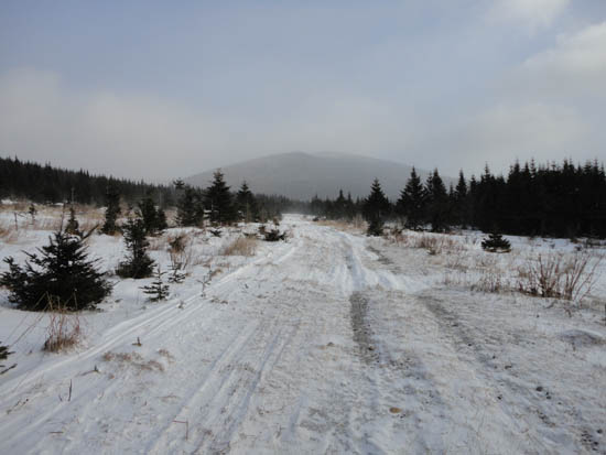 Heading down a logging road below Mt. Redington
