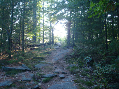 The Daniel Brown Trail on Mt. Tire'm