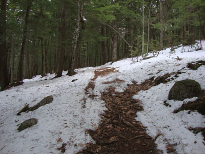 Looking up the Mt. Tom Trail