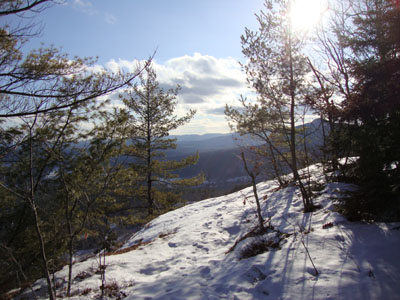 The Mt. Will Trail