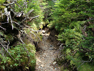 Looking down the eroded Marston Trail on the way to North Brother