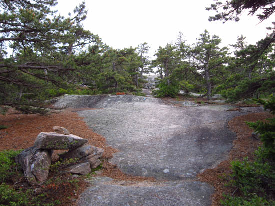 The upper Goat Trail on the way up Norumbega Mountain