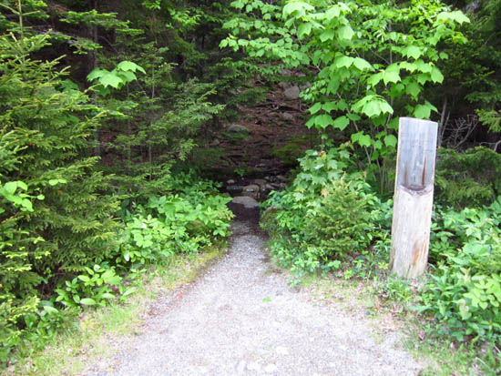 The Goat Trail trailhead off Park Loop Road