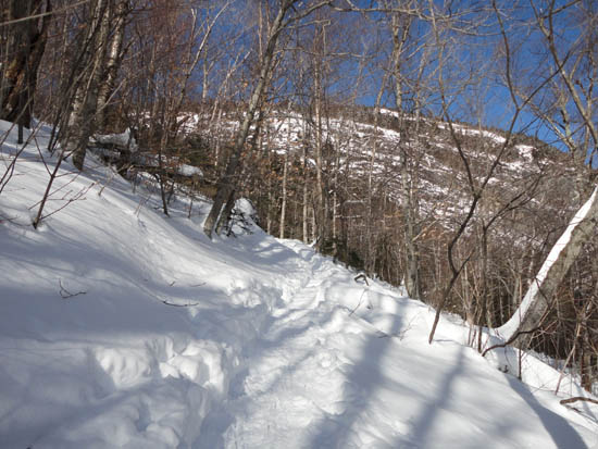 Looking up the Old Speck Trail at the Eyebrow