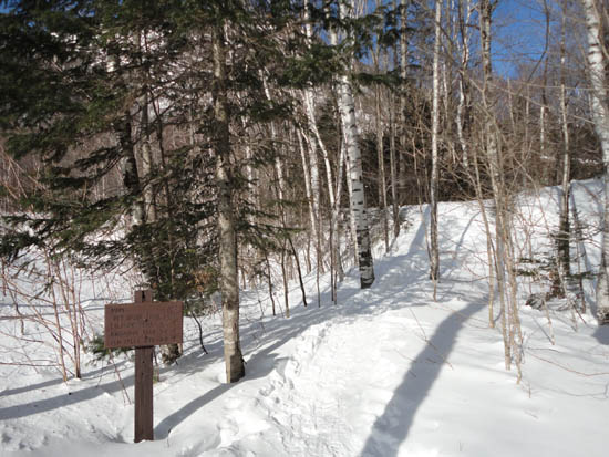 The Old Speck Trail trailhead