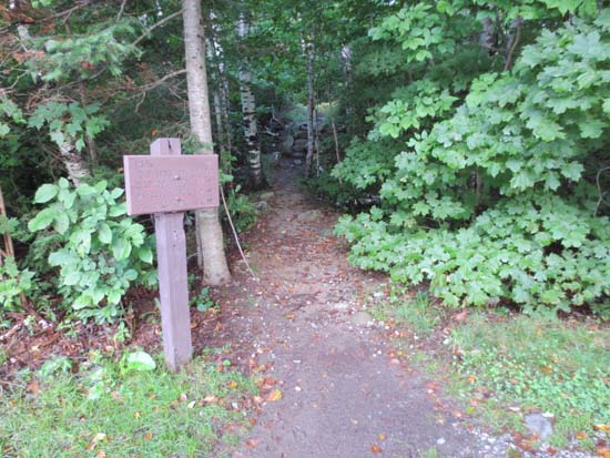 The Old Speck Trail trailhead