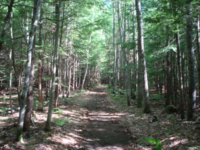 Looking up the trail to Peary Mountain