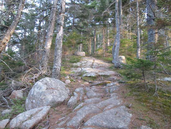 Looking up the Pemetic North Ridge Trail
