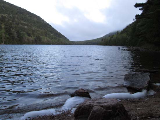 Bubble Pond
