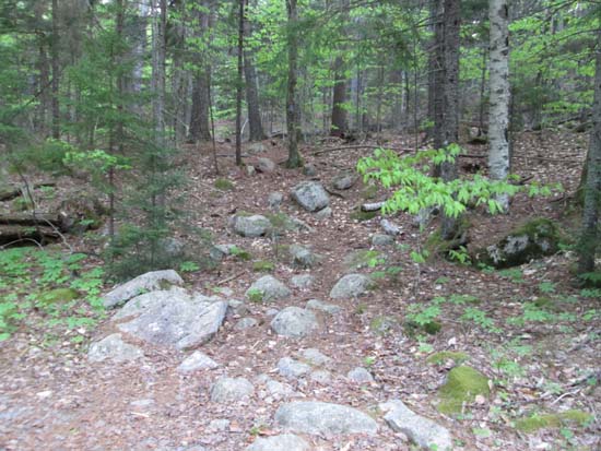 The Pemetic North Ridge Trail entrance off the carriage road