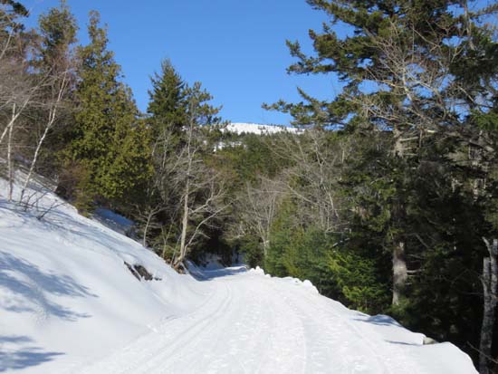 Heading to the Hadlock Brook Trail on the carriage roads