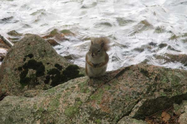 One of the natives