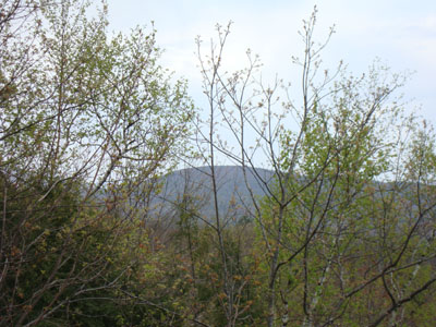 Picket Mountain as seen from Bond Mountain