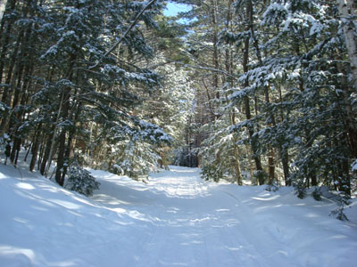 Heading up the Firewarden's Trail to the Pleasant Mountain summit