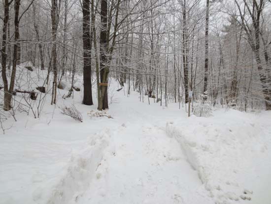 Ledges Trail trailhead