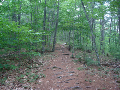 Looking up the trail to Province Mountain