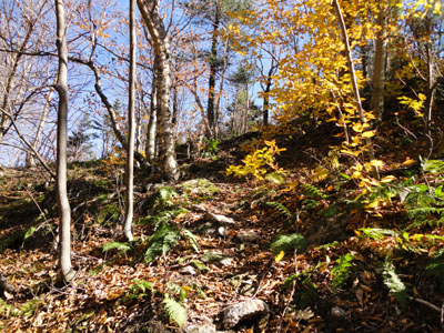 The Red Rock Trail on the way to Red Rock Mountain