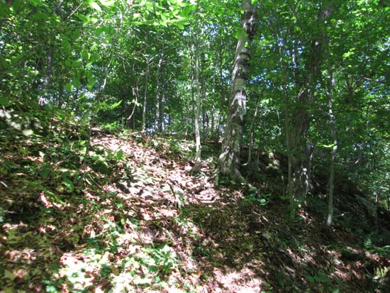 The Red Rock Trail