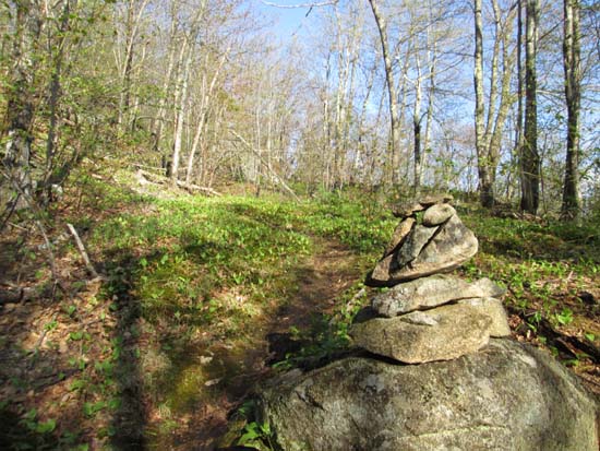 The Round Mountain Trail