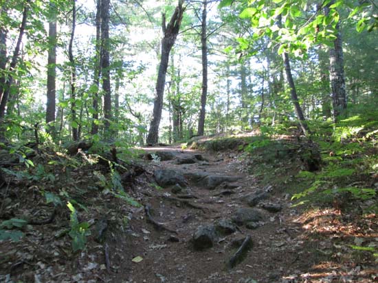 The western segment of the loop trail