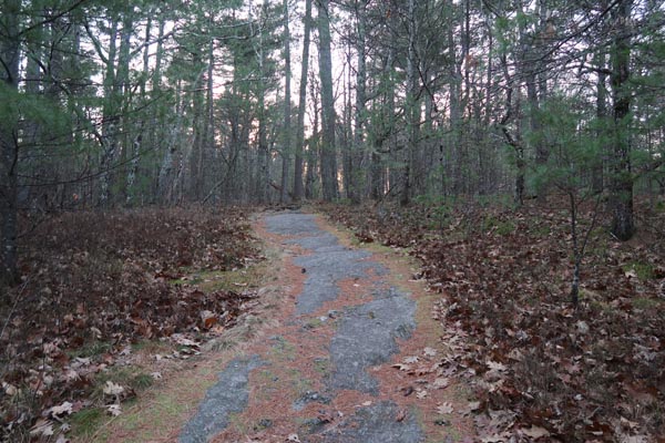 The western segment of the loop trail