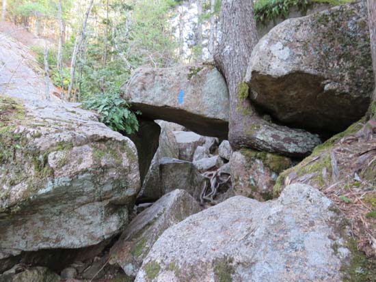 Looking up the Giant Slide Trail