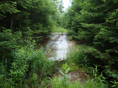 Looking up one of the wet slabs on the old logging road