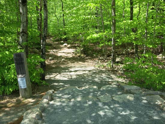 The Bubbles Divide trailhead off Park Loop Road
