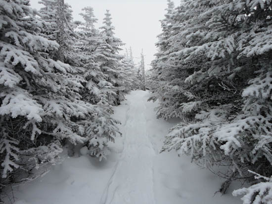 The Appalachian Trail between the Crockers