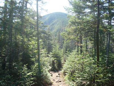 Looking at Spaulding Mountain from the Appalachian Trail