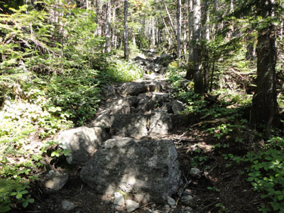 The Sugarloaf Side Trail on the way to Spaulding Mountain