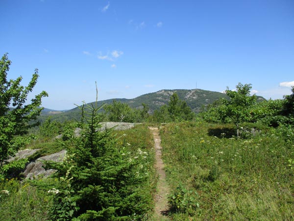 Spruce Mountain - East Peak