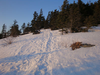 Looking up the Streaked Mountain Trail
