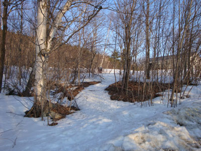 The Streaked Mountain Trail trailhead