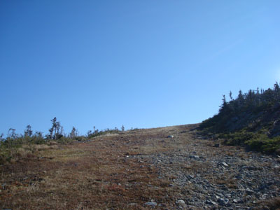 Looking up the Narrow Gauge Extension Trail