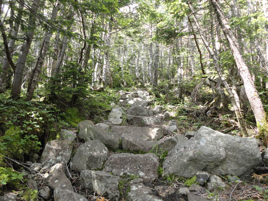 The Sugarloaf Side Trail on the way to Sugarloaf Mountain