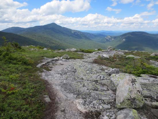The Grafton Loop Trail near the top of Sunday River Whitecap