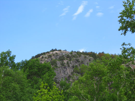 The Beehive