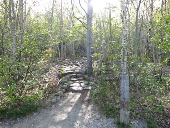 The Bowl Trail trailhead on Park Loop Road