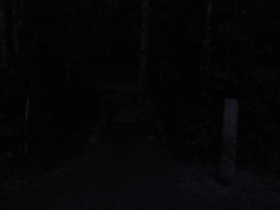 The Bowl Trail trailhead on Park Loop Road