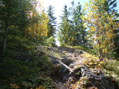 Looking up the Trout Brook Mountain Trail