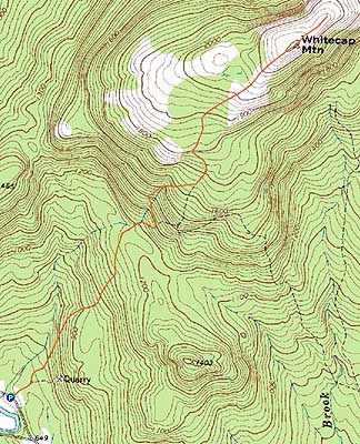 Topographic map of Whitecap Mountain - Click to enlarge