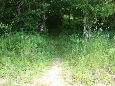 The Orange Trail trailhead on East Andover Road