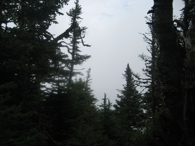 A possible minimal viewpoint near the summit of White Cap Mountain - Click to enlarge