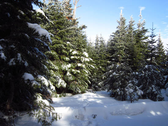A brief glimpse at blue sky on the way to White Cap Mountain