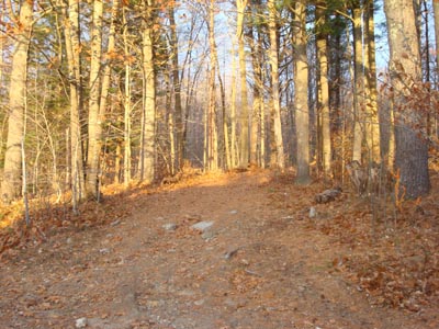 The trailhead (roadhead) of the trail (road) to Wiggin Mountain