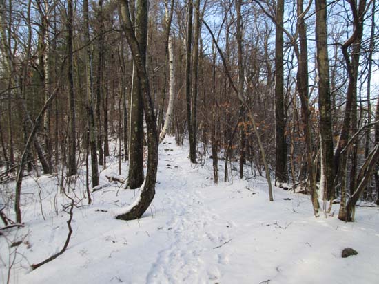 The trail to Crag Mountain