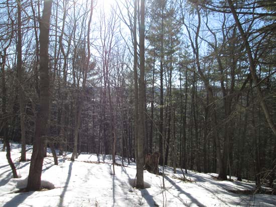 Greenfield Mountain